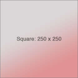 250x250